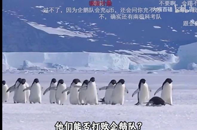 库里:我真心希望詹姆斯加盟勇士成真 更期待与他一块打高尔夫